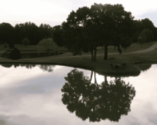 What a View Frenchie breeders in TN